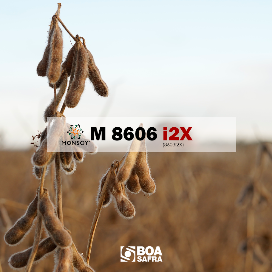 その他 ozwrt Dioscorea meiolania Semente de Soja Monsoy 8606 I2X Tratamento Industrial - Boa Safra